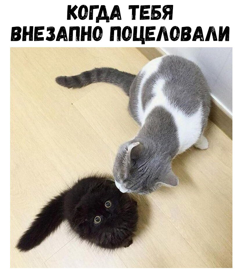 КОГДА ТЕБЯ ВНЕЗАПНО ПОЦЕАОВААИ