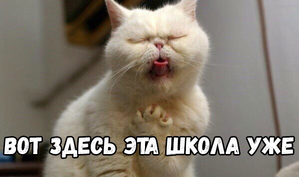 а Ё _ щіііком уже М 4