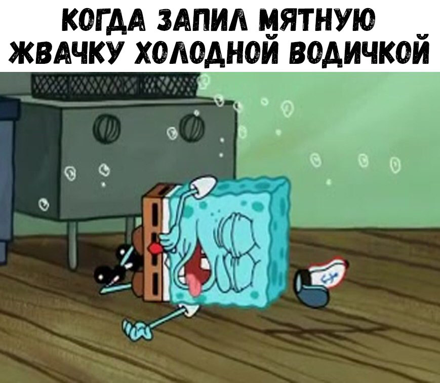 КОГ АА ЗАПИА МЯТНУЮ ЖВАЧКУ ХОАОАНОЙ ВОАИЧКОЙ чо