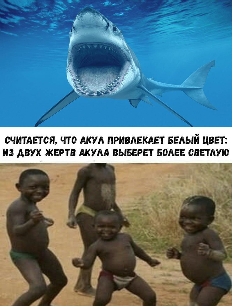 СЧИТАЕТСЯ ЧТО АКУЛ ПРИВЛЕКАЕТ БЕЛЫЙ ЦВЕТ ИЗ АВУХ ЖЕРТВ АКУЛА ВЫБЕРЕТ БОЛЕЕ СВЕТЛУЮ