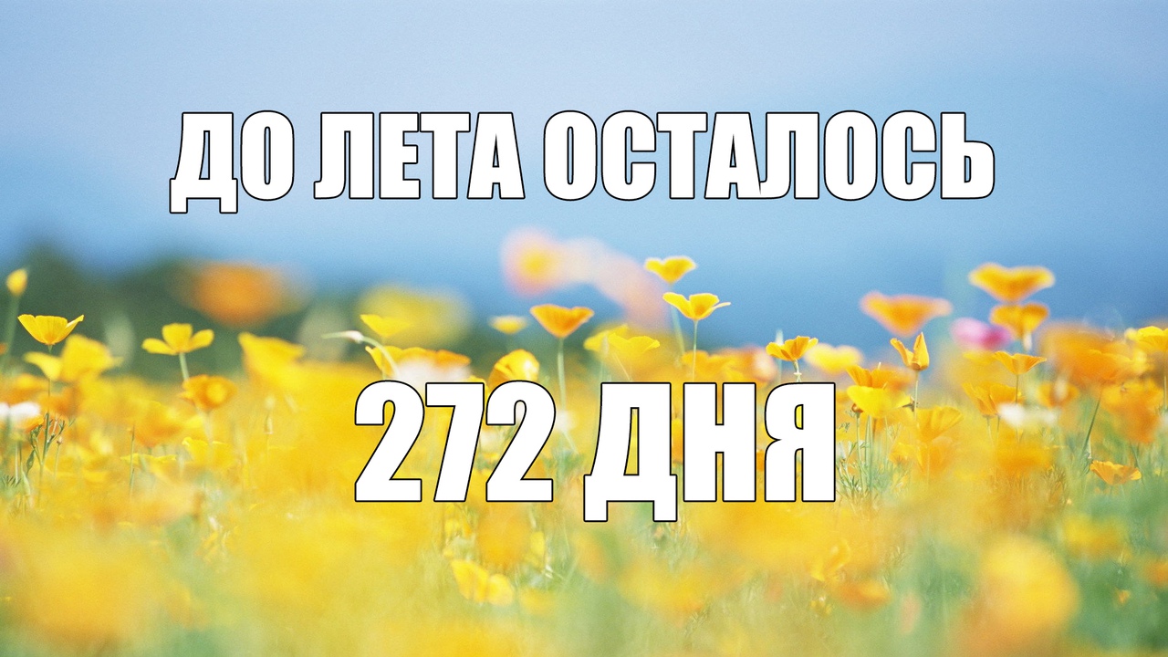 ЁШ