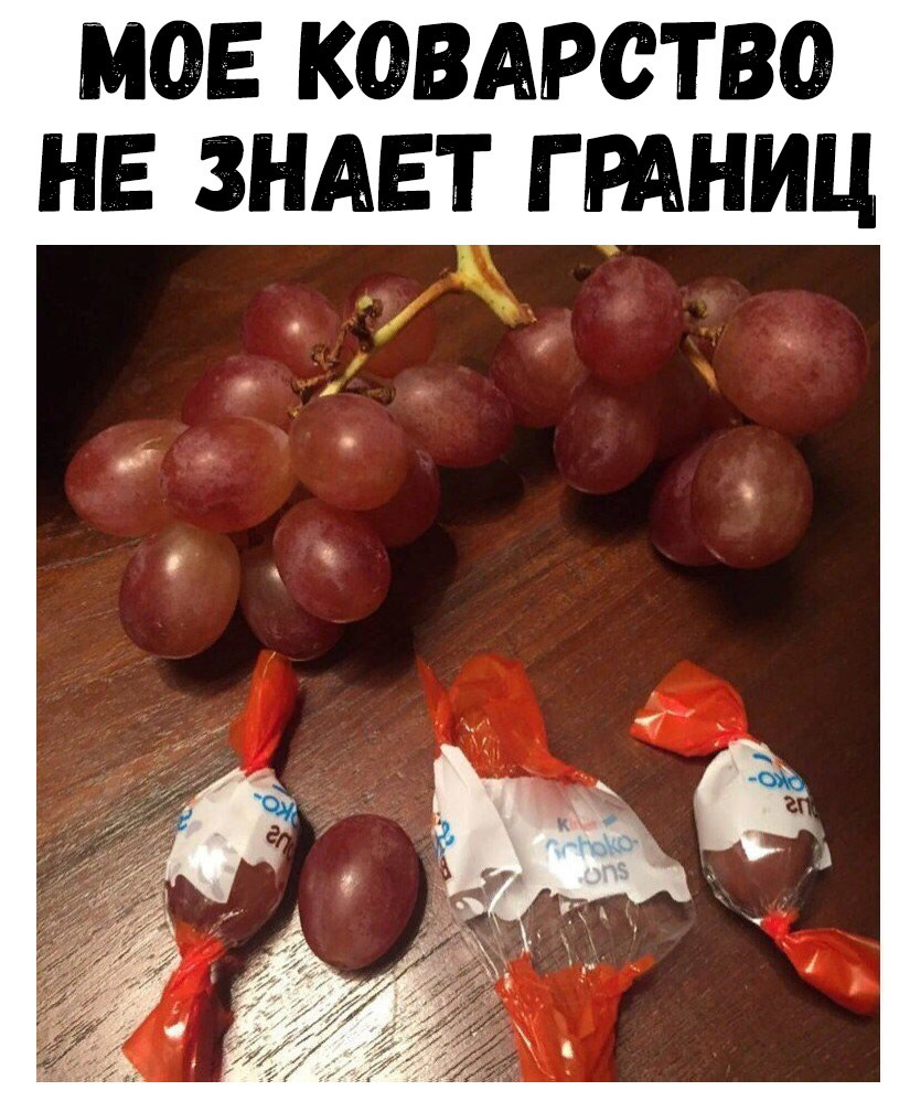 МОЕ КОВАРСТВО НЕ ЗНАЕТ ГРАНИЦ