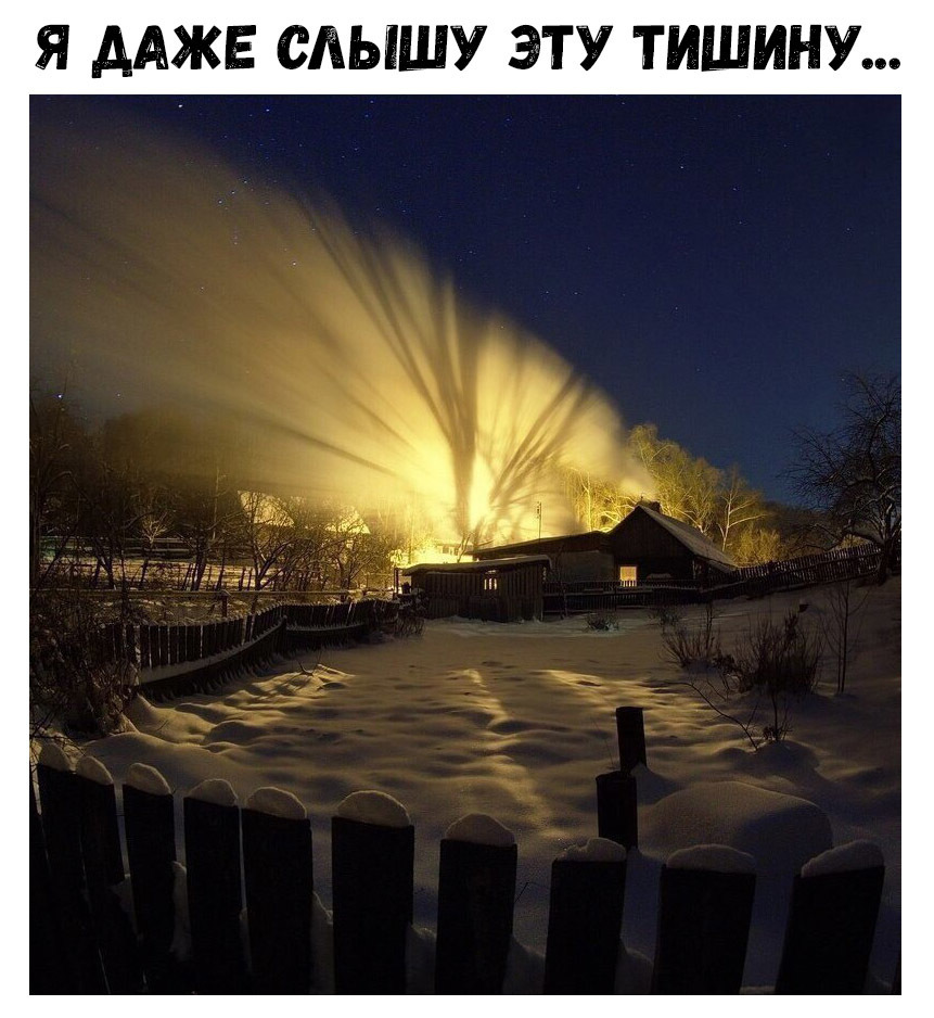 Я ДАЖЕ ОЛЫШУ ЭТУ ТИШИНУ
