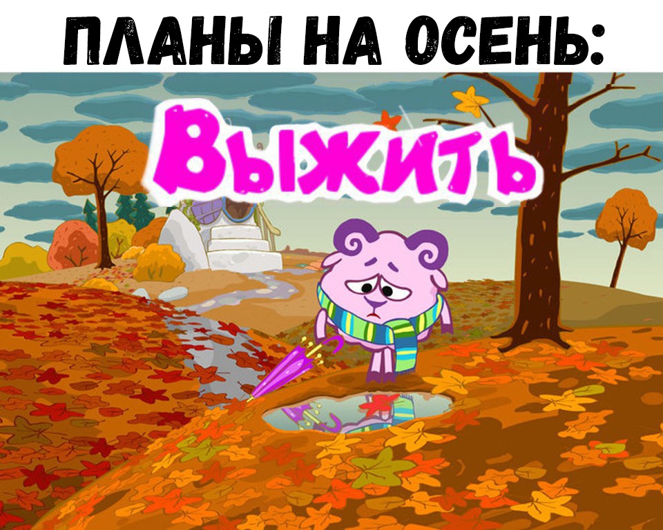 пмны осень