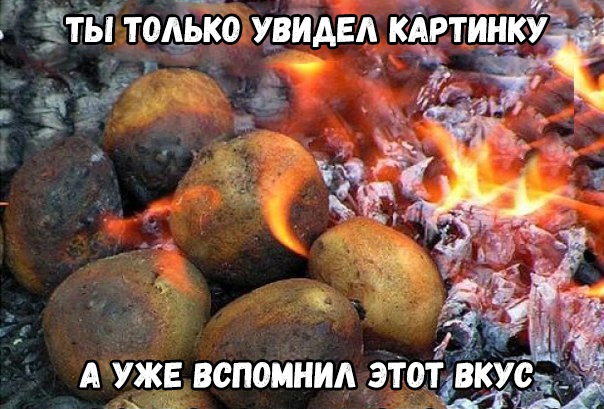 Ё іт тол Ёоу Уй двд клртинку и _ т н _