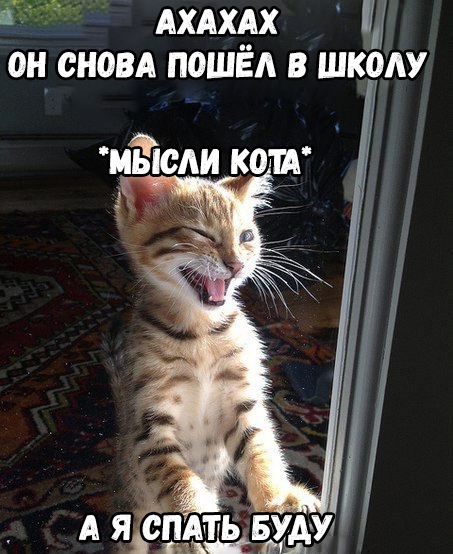 АХАХАХ он сноп пошёл в школу
