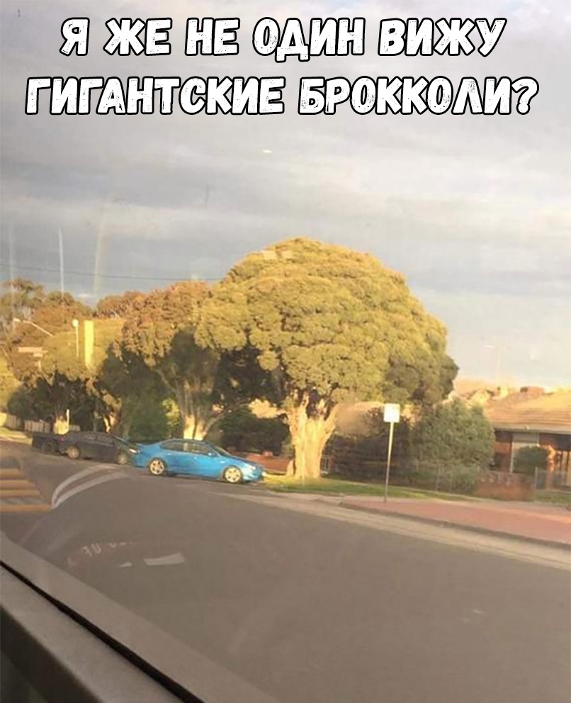 ЦЕ ФАИН ВИЖУ Г ИГ АНТЁКИЕ БРФККМШПЁР