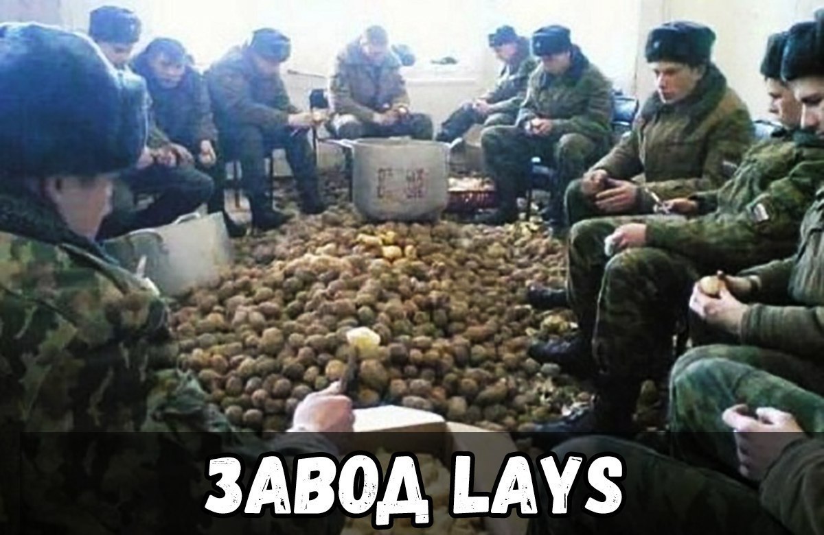 ЗАВОД