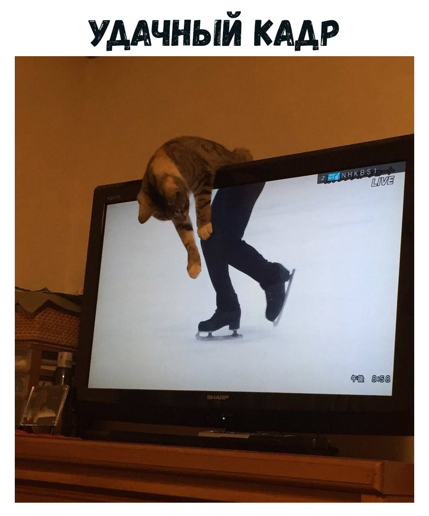 УААЧНЫЙ идр