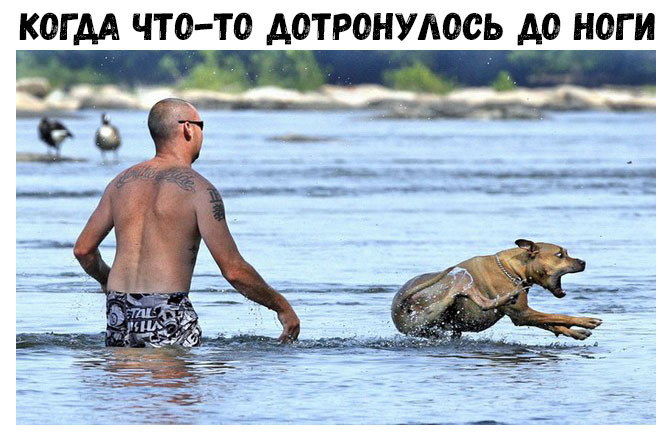 КОГ АА ЧТО ТО АОТРОНУАОСЬ А0 НОГИ