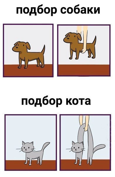 подбор собаки