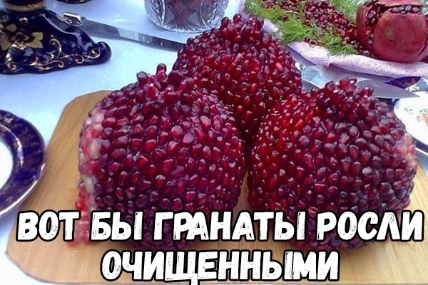 Тватавы гмины росли очищенными