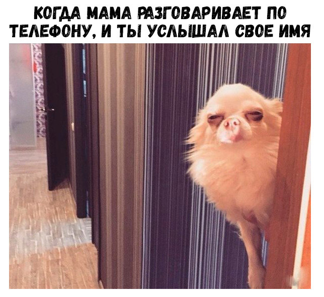 КОГ АА МАМА РАЗГОВАРИВАЕТ ПО ТЕЛЕФОНУ И ТЫ УСАЫШАА СВОЕ ИМЯ