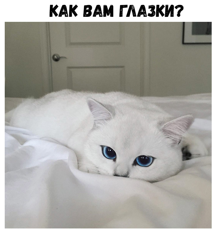 КАК ВАМ Г ЛАЗКИ
