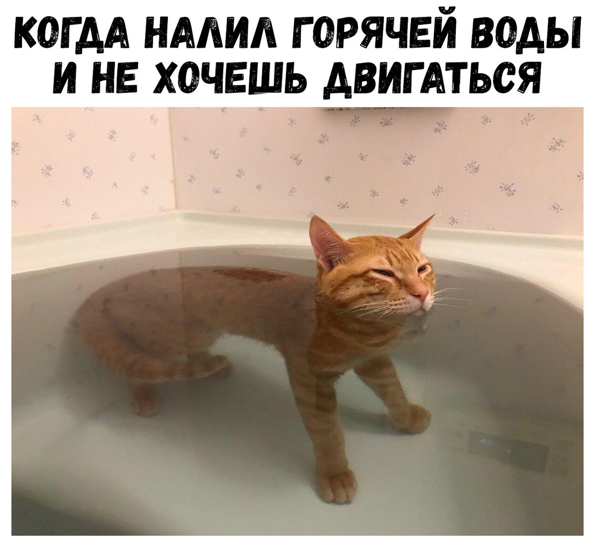 КОГ АА НАЛИЛ Г ОРЯЧЕЙ воды И НЕ ХОЧЕШЬ АВИГАТЬСЯ