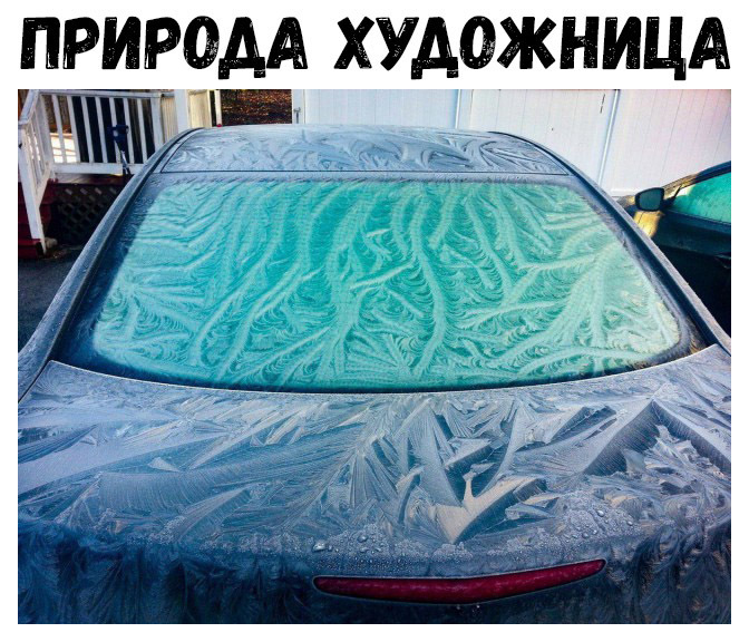 ПРИРОДА ХУДОЖНИЦА