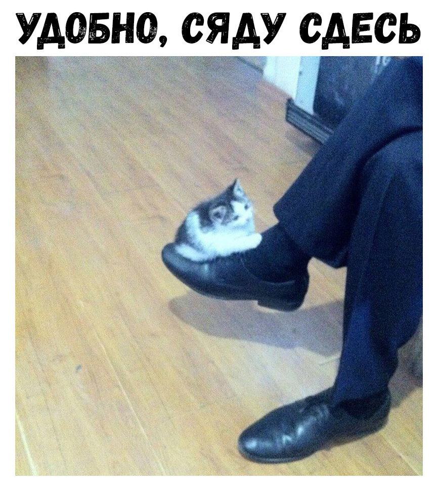УАЭБНЁ СЯАУ САЕОЬ