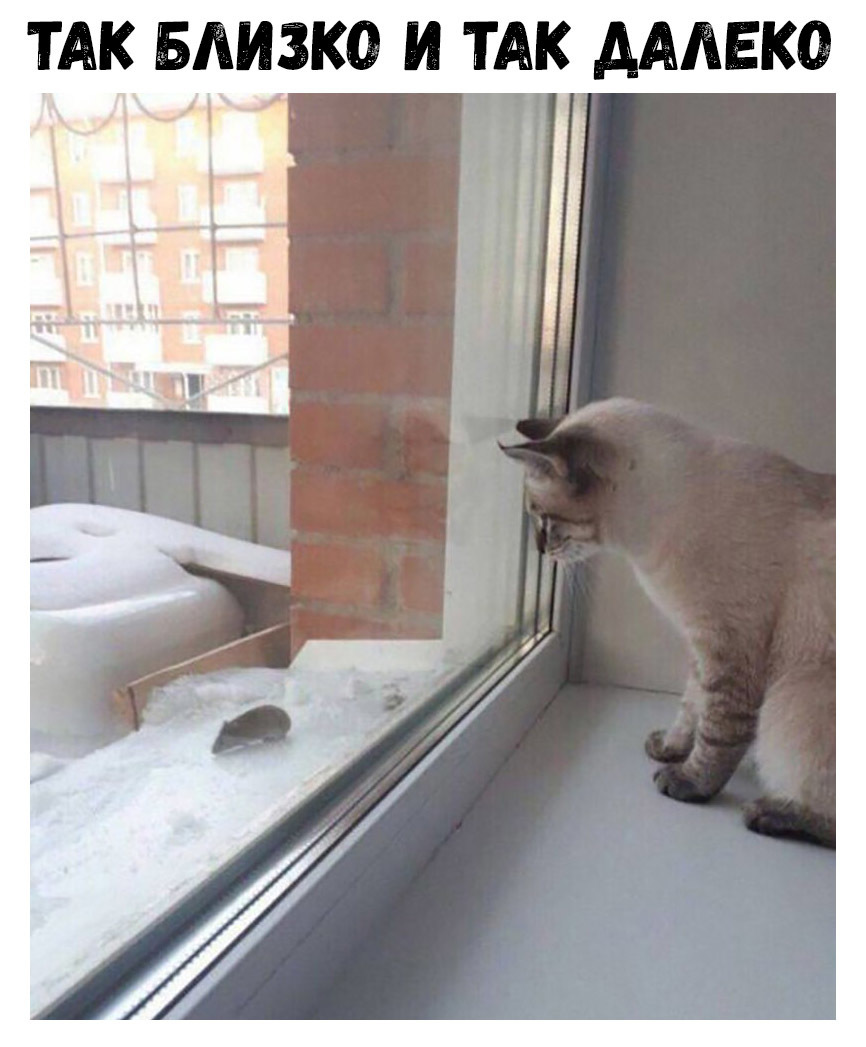 ТАК БАИЗКО И ТАК АААЕКО