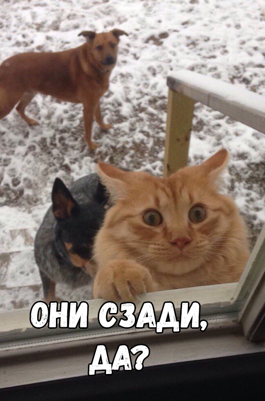 дниіезздиг Мій