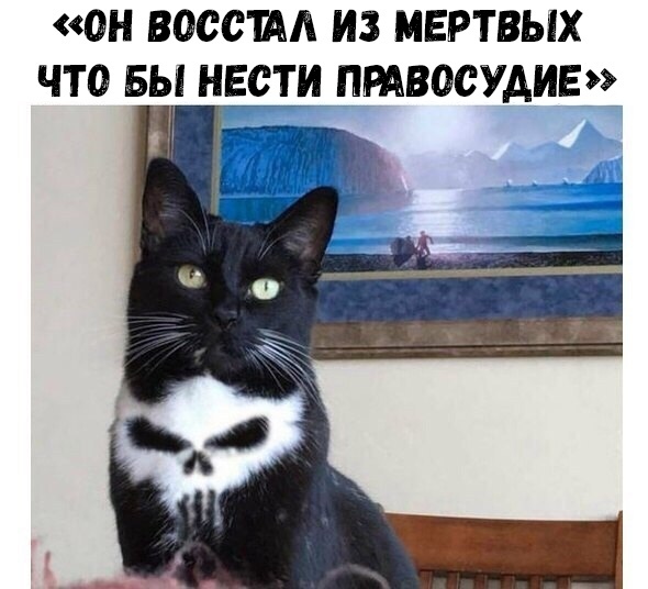 ОН ВОССШЛ ИЗ МЕРТВЫХ ЧТО БЬ НЕСТИ ПРАВОСУДИЕ