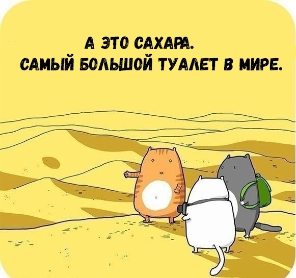 А ЭТ0 САХАП т емый Болшой тумвт в мире