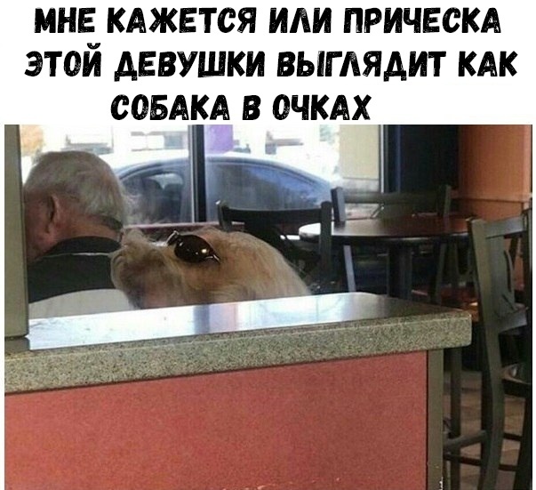МНЕ КАЖЕТСЯ ПРИЧЕСКА ЭТОИ АЕВУШКИ ВЫГАЯДИТ КАК СОБАКА В ОЧКАХ