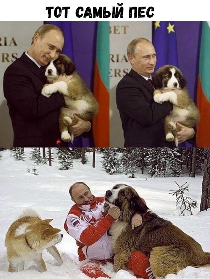 ТОТ САМЫЙ ПЕС