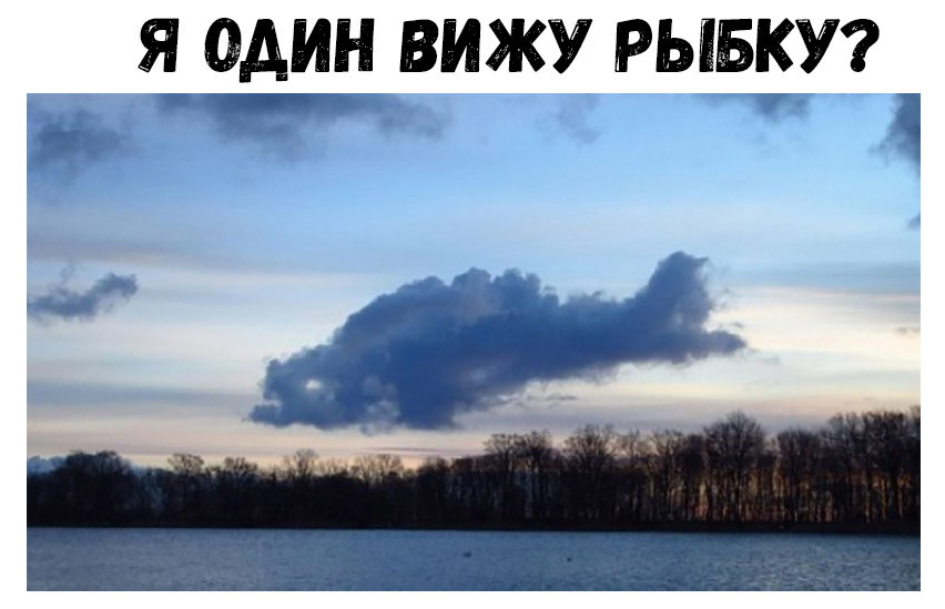 Я ОДИН ВИЖУ РЫБКУ 11 _ _ _
