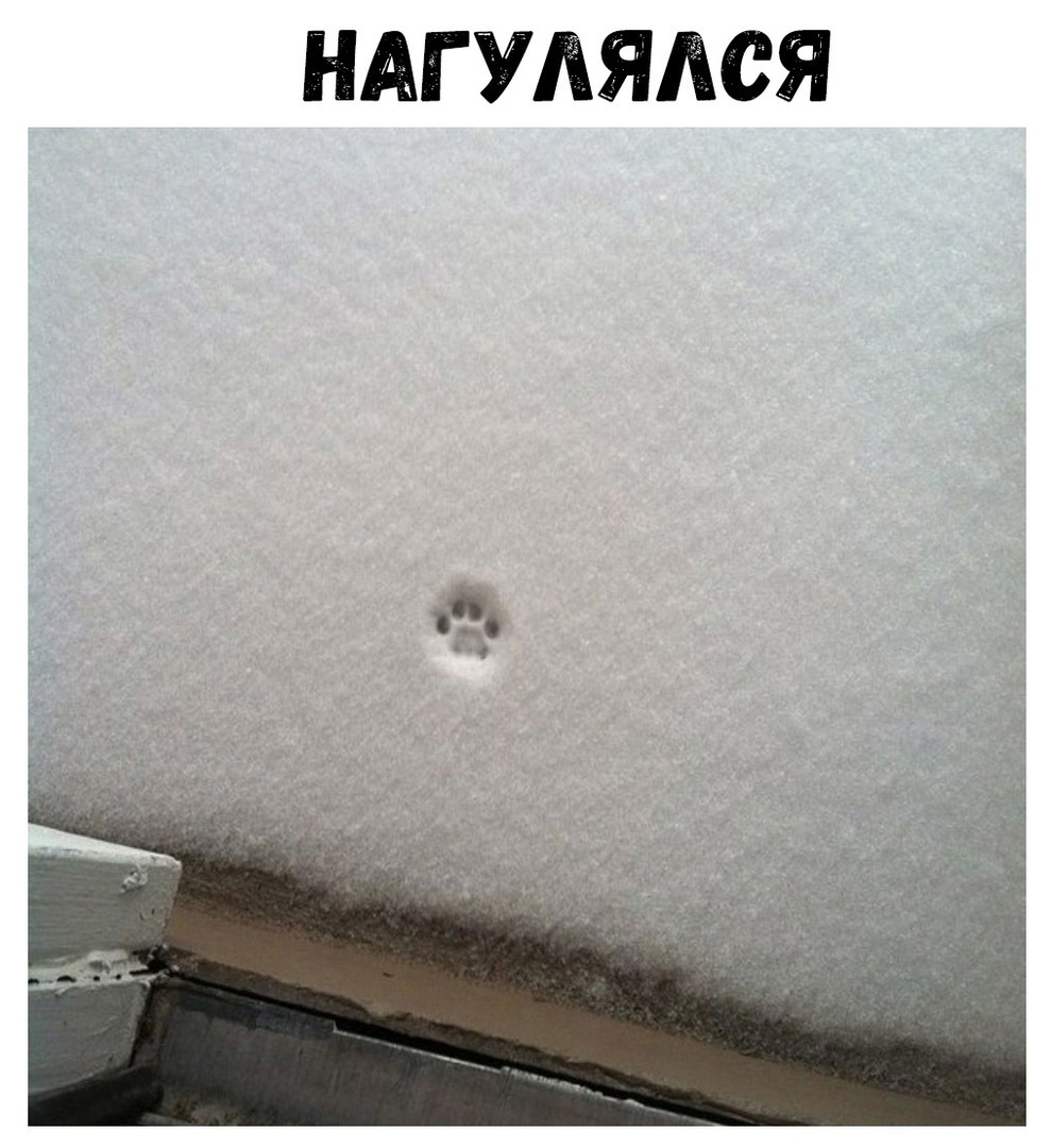 НАГУЛЯЛСЯ