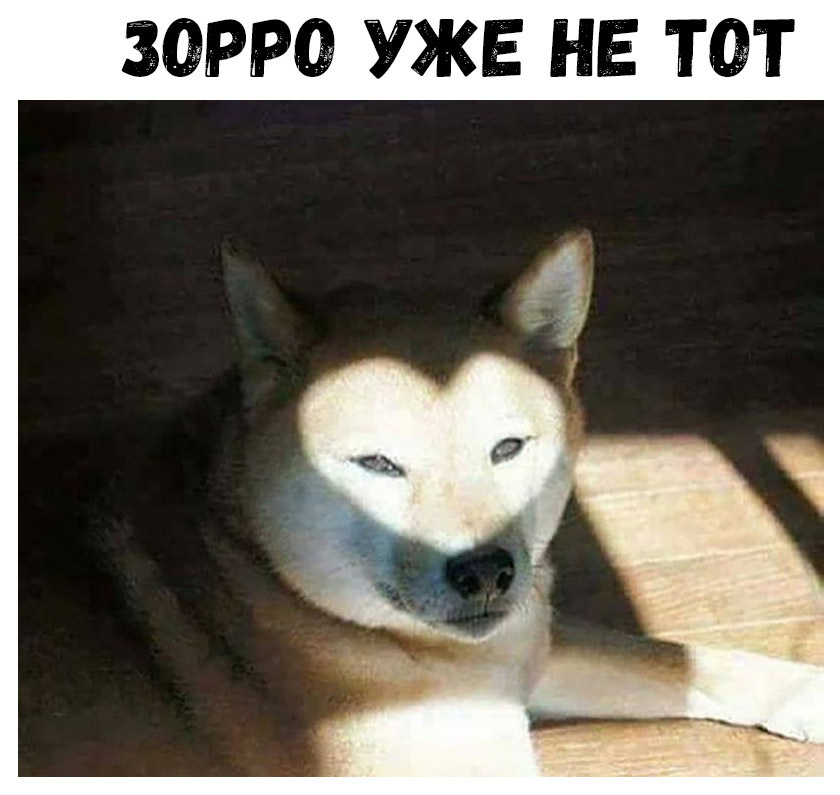 ЗдРРё УЖЕ НЕ ют