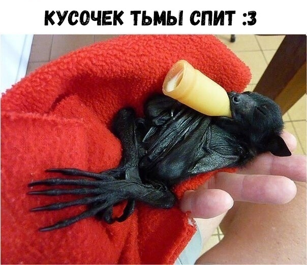 КУСОЧЕК ТЬМЫ СПИТ