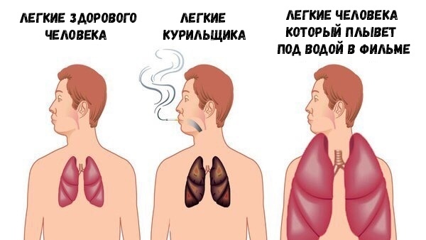 АЕГ КИЕ ЗМРОВОГО АЕГ КИЕ ЛЕГКИЕ ЧЕЛОВЕКА ЧЕЛОВЕКА КУРИАЬЩИКА КОТОРЬЙ ПЛЫВЕТ ПОА ВОАОИ В ФИЛЬМЕ