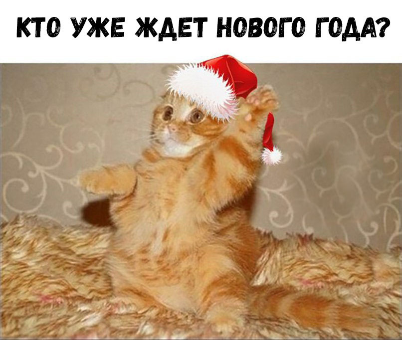 КТО УЖЕ ЖДЕТ НОВОГО Г ОДА