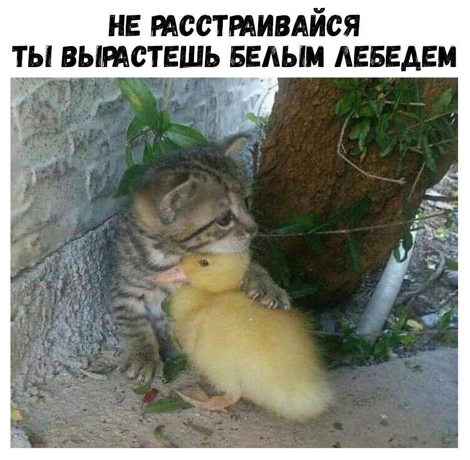 не тестмивдйся ты выштсть БЕАЫМ АЕБЕАЕМ