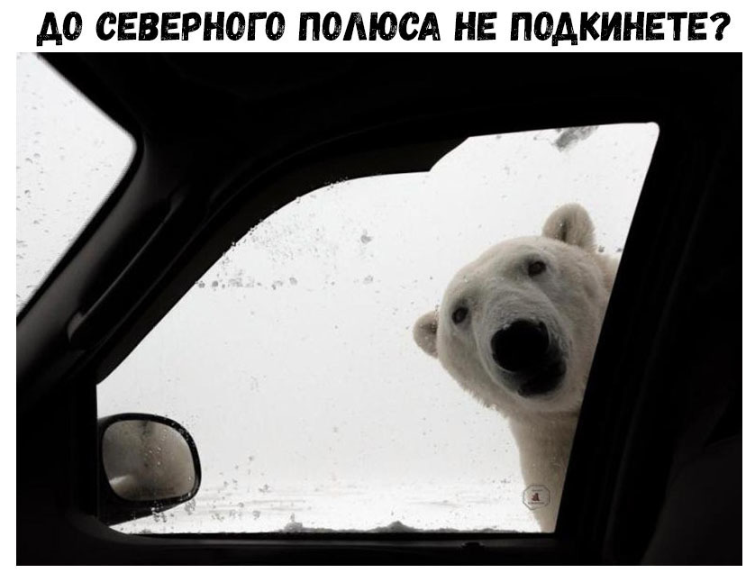 А0 СЕВЕРНОГО ПОЛЮСА НЕ ПОДКИНЕТЕ
