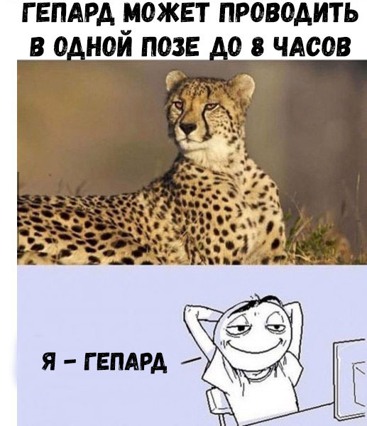 гвпдрд может проводить в о ной позе о чАсов