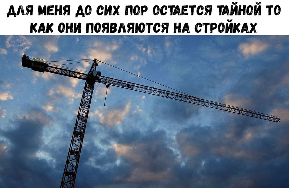 для меня до сих пор остдвтся шйной то _ как они появляются НА стройкдх