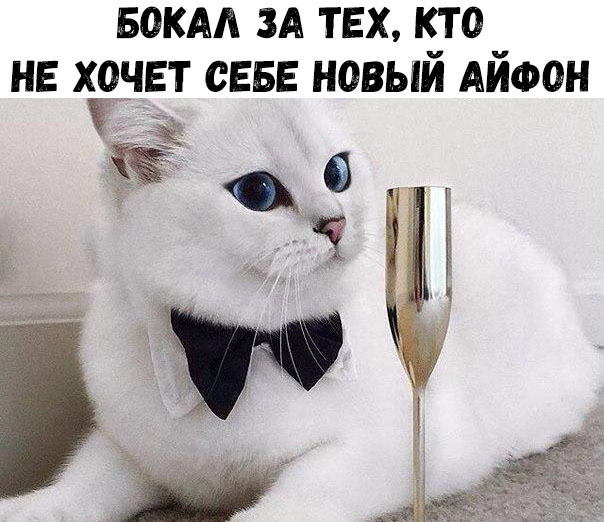 БОКАА ЗА ТЕХ КТО НЕ ХОЧЕТ СЕБЕ НОВЫЙ АЙФОН Ёщд