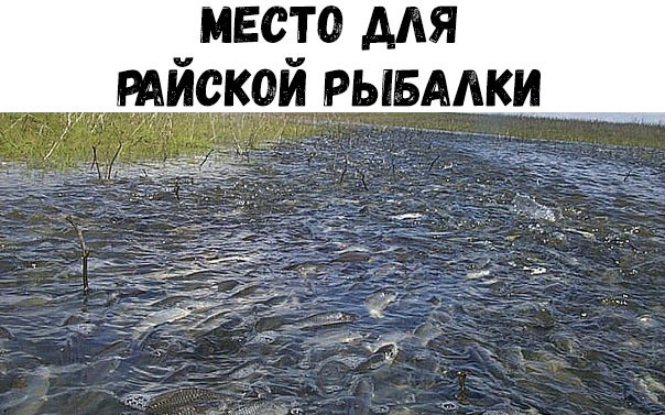 место для ийской рывмки