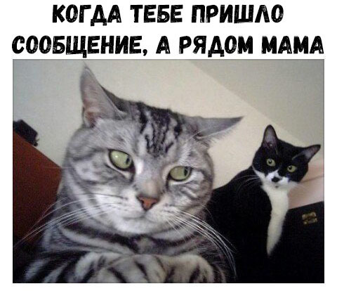 КОГ АА ТЕБЕ ПРИШЛО СООБЩЕНИЕ А РЯДОМ МАМА
