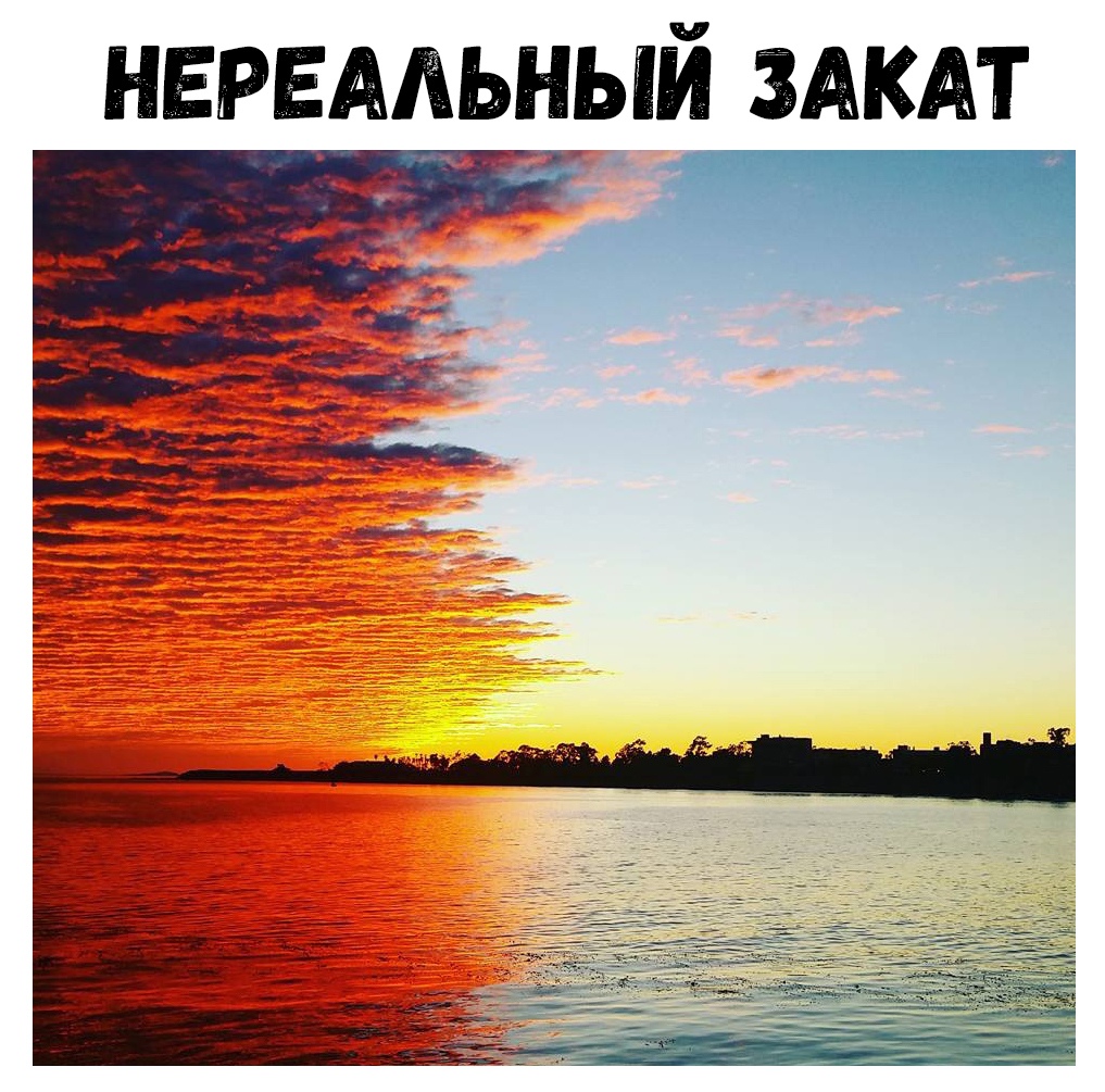 нервмьный мкм