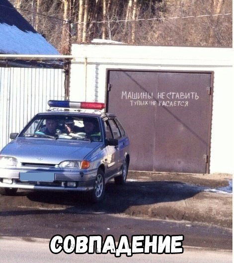 МАШИНЫ нгсгдвить пп манки