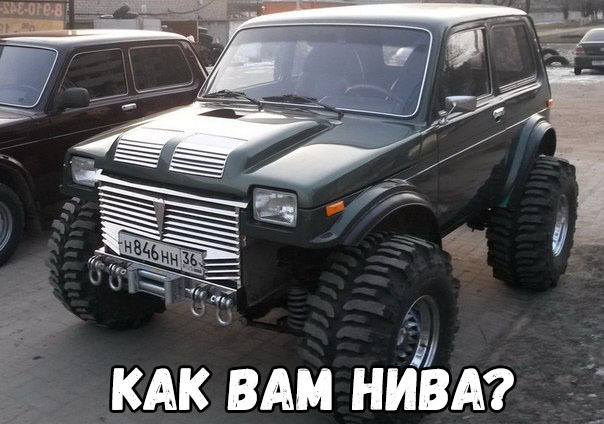 КАК ВАМ НИВА
