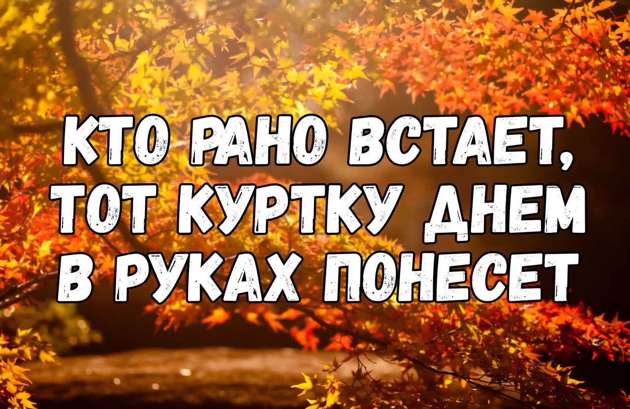 тошно ВСТАЕТ тот куртку днем в РУКАХ понесет