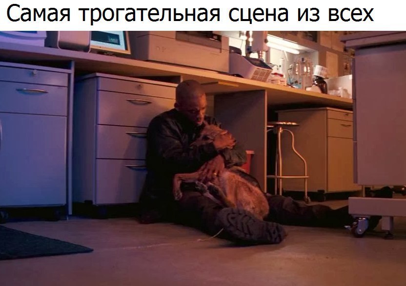 СдМдЯ трогательная сцена из всех Ё и __ _ _ _ __ Ё