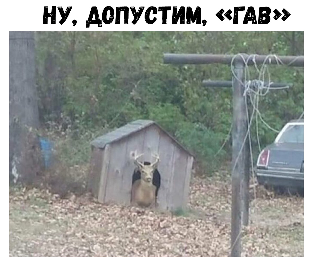 НУ допустим Г АВ