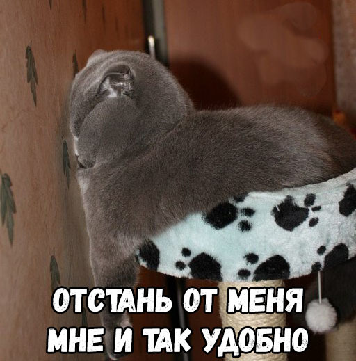 отсщнь от МЕНЯ мне И тк ущно