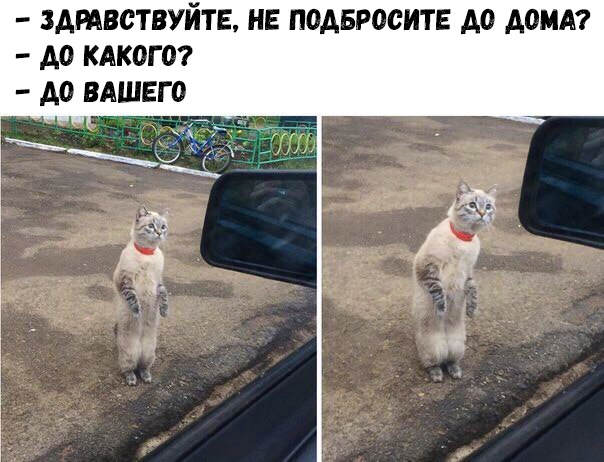 ЗАРАВСТВУЙТЕ НЕ ПОАБРОСИТЕ А0 АВИА А0 КАКОГВ А0 ВАШЕГО