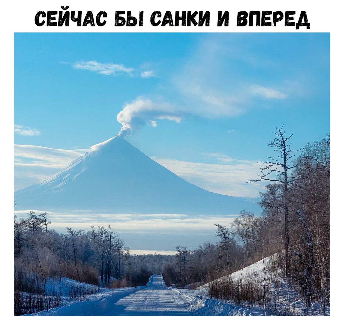 СЕЙЧАС БЫ САНКИ И ВПЕРЕД