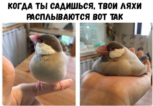 КОГ АА ТЫ СААИШЬСЯ твои АЯХИ МСПАЫВАЮТСЯ ВОТ ШК
